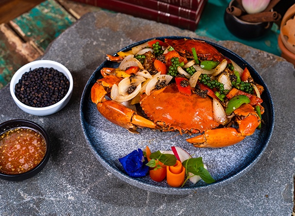 food-dish